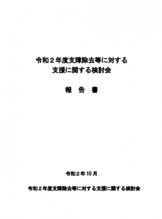 【報告書】令和２年度　支障除去等に対する支援に関する検討会 報告書
