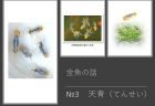 【令和３年度文部科学関係予算1】ナショナルバイオリソースプロジェクト（12億3100万円）