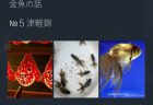 【第204回通常国会法案解説シリーズ22】取引デジタルプラットフォームを利用する消費者の利益の保護に関する法律案