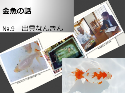 出雲なんきん