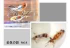 ニッポン応援特集【アーティストを支える活動】
