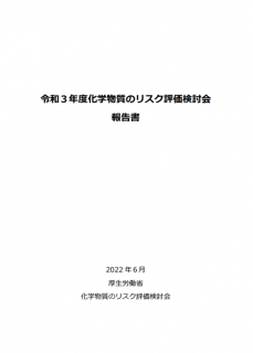 令和３年度化学物質のリスク評価検討会報告書