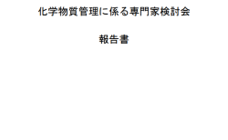 令和４年度化学物質管理に係る専門家検討会報告書